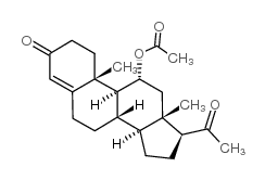11alpha-Acetoxyprogesterone