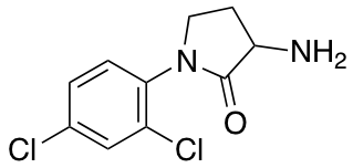 3-amino-1-(2,4-dichlorophenyl)pyrrolidin-2-one