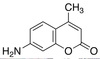 7-Amino-4-methylcoumarin