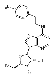 N6-2-(4-Aminophenyl)ethyladenosine
