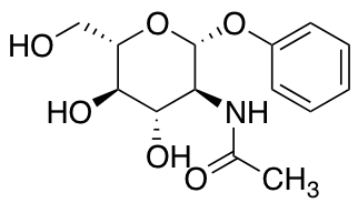 N-[(2R,3S,4S,5R,6S)-4,5-Dihydroxy-6-(hydroxymethyl)-2-phenoxyoxan-3-yl]acetamide