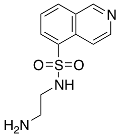 N-(2-Aminoethyl)-5-isoquinolinesulfonamide